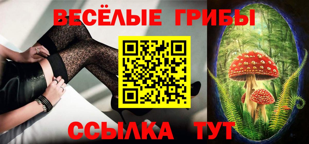 Галлюциногенные грибы Cubensis  Вход с VPN  Холмск 